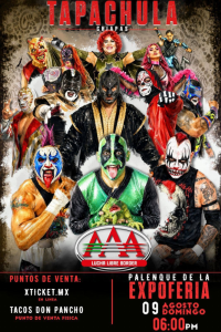 source: https://luchadb.com/posters/uploads/2026071903/2026071903_10.png