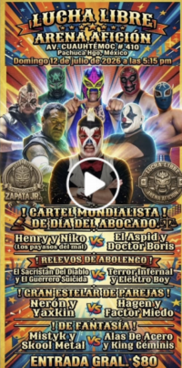 source: https://luchadb.com/posters/uploads/2026071903/2026071903_14.png