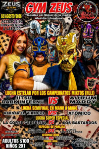 source: https://luchadb.com/posters/uploads/2026072302/2026072302_10.png