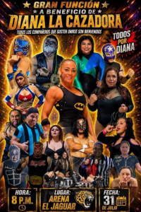 source: https://luchadb.com/posters/uploads/2026080203/2026080203_06.png