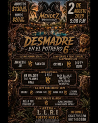 source: https://luchadb.com/posters/uploads/2026080203/2026080203_07.png