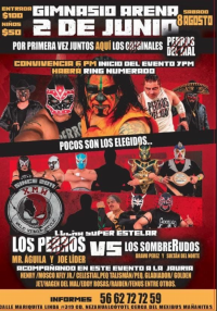 source: https://luchadb.com/posters/uploads/2026080401/2026080401_14.png