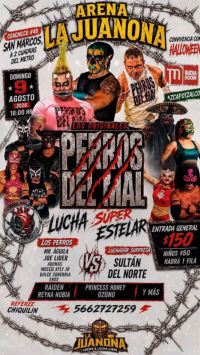 source: https://luchadb.com/posters/uploads/2026080901/2026080901_14.png