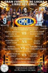 source: https://luchadb.com/posters/uploads/2026080903/2026080903_01.png