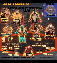 source: https://luchadb.com/posters/uploads/2026080903/2026080903_23.png