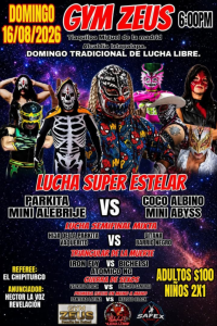 source: https://luchadb.com/posters/uploads/2026080903/2026080903_07.png