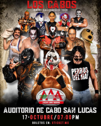 source: https://luchadb.com/posters/uploads/2026080903/2026080903_27.png