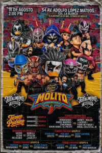 source: https://luchadb.com/posters/uploads/2026081101/2026081101_15.png