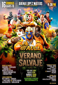 source: https://luchadb.com/posters/uploads/2026081302/2026081302_06.png