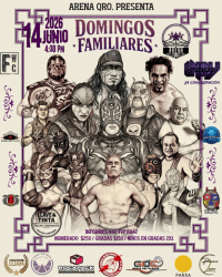 source: https://luchadb.com/posters/uploads/2026082001/2026082001_02.png