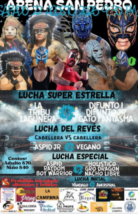 source: https://luchadb.com/posters/uploads/2026082001/2026082001_04.png