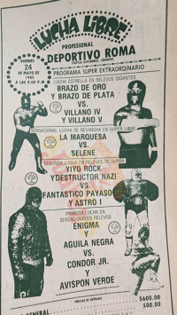 source: https://luchadb.com/posters/uploads/Rob_2026090102/Rob_2026090102_02.png