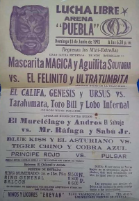 source: https://luchadb.com/posters/uploads/Rob_2026090102/Rob_2026090102_03.png