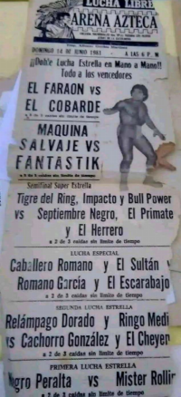 source: https://luchadb.com/posters/uploads/Rob_2026090102/Rob_2026090102_06.png