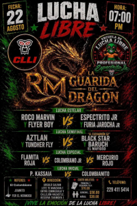 source: https://luchadb.com/posters/uploads/2026090201/2026090201_19.png