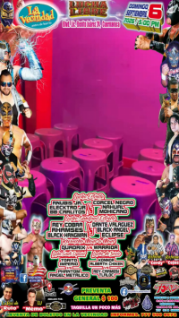source: https://luchadb.com/posters/uploads/2026090302/2026090302_14.png