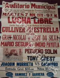 source: https://luchadb.com/posters/uploads/Rob_2026090102/Rob_2026090102_17.png