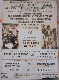 source: https://luchadb.com/posters/uploads/Rob_2026090103/Rob_2026090103_03.png