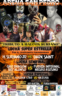 source: https://luchadb.com/posters/uploads/2026090303/2026090303_13.png