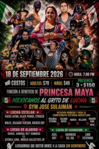 source: https://luchadb.com/posters/uploads/2026091001/2026091001_04.png