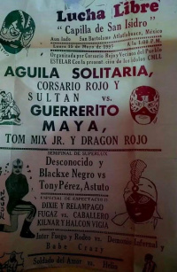source: https://luchadb.com/posters/uploads/Rob_2026090104/Rob_2026090104_01.png