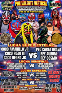 source: https://luchadb.com/posters/uploads/2026091003/2026091003_06.png