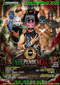 source: https://luchadb.com/posters/uploads/2026091304/2026091304_05.png