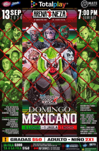 source: https://luchadb.com/posters/uploads/2026091305/2026091305_09.png