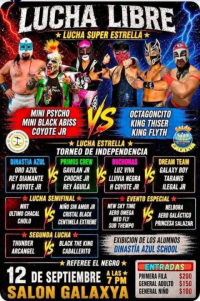 source: https://luchadb.com/posters/uploads/2026091305/2026091305_06.png