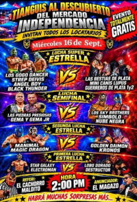 source: https://luchadb.com/posters/uploads/2026091503/2026091503_16.png