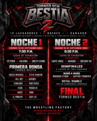 source: https://luchadb.com/posters/uploads/2026091703/2026091703_08.png