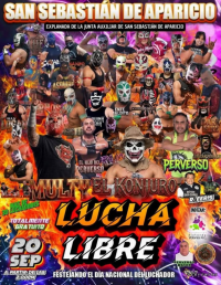 source: https://luchadb.com/posters/uploads/2026091901/2026091901_23.png
