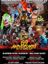 source: https://luchadb.com/posters/uploads/2026092403/2026092403_03.png