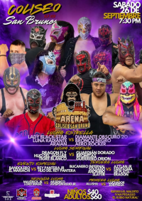 source: https://luchadb.com/posters/uploads/2026092403/2026092403_06.png
