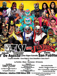 source: https://luchadb.com/posters/uploads/2026092902/2026092902_09.png