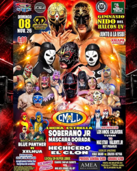 source: https://luchadb.com/posters/uploads/2026093001/2026093001_15.png