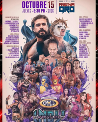 source: https://luchadb.com/posters/uploads/2026100102/2026100102_21.png