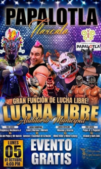 source: https://luchadb.com/posters/uploads/2026100302/2026100302_02.png