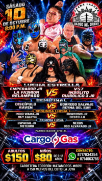 source: https://luchadb.com/posters/uploads/2026100602/2026100602_04.png