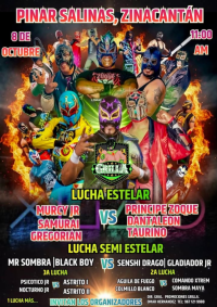 source: https://luchadb.com/posters/uploads/2026100603/2026100603_03.png