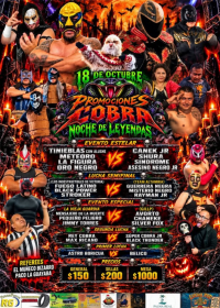 source: https://luchadb.com/posters/uploads/2026100605/2026100605_01.png