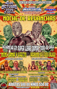 source: https://luchadb.com/posters/uploads/2026100604/2026100604_01.png