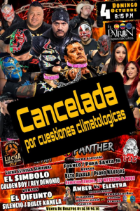 source: https://luchadb.com/posters/uploads/2026100603/2026100603_11.png