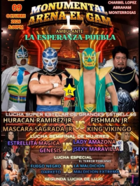 source: https://luchadb.com/posters/uploads/2026101102/2026101102_10.png
