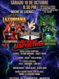 source: https://luchadb.com/posters/uploads/2026101102/2026101102_14.png