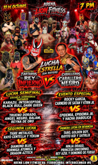 source: https://luchadb.com/posters/uploads/2026101103/2026101103_14.png