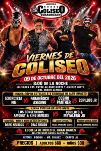 source: https://luchadb.com/posters/uploads/2026101103/2026101103_03.png