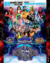 source: https://luchadb.com/posters/uploads/2026101103/2026101103_28.png