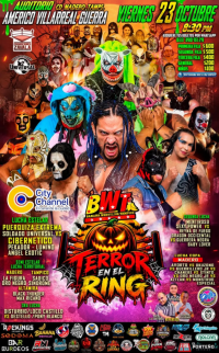 source: https://luchadb.com/posters/uploads/2026101201/2026101201_05.png