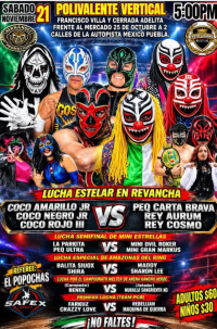 source: https://luchadb.com/posters/uploads/2026101303/2026101303_02.png